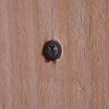 Douglas scherm type Tess 1800 x 1800 mm - Afbeelding 4