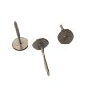 400152 - Boomband nagel 3,4 x 40mm verzinkt  (doos van 2,5kg) - Afbeelding 2